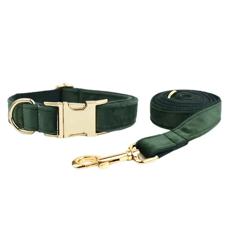 Collier pour chien en velours personnalisé - collar and leash set / XL