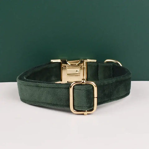 Collier pour chien en velours personnalisé