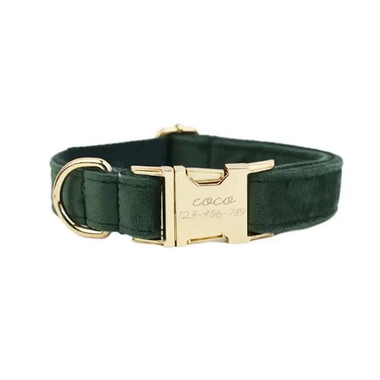 Collier pour chien en velours personnalisé - Dog collar / XL
