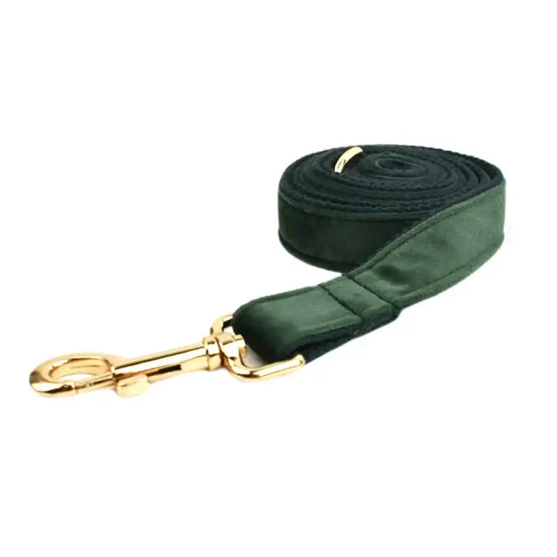 Collier pour chien en velours personnalisé - Dog leash / XL