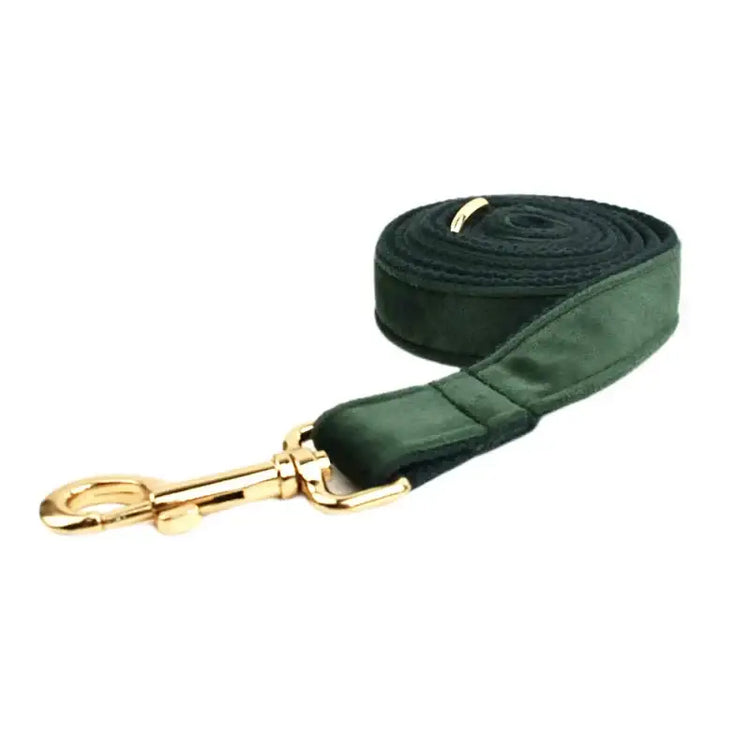 Collier pour chien en velours personnalisé - Dog leash / XL