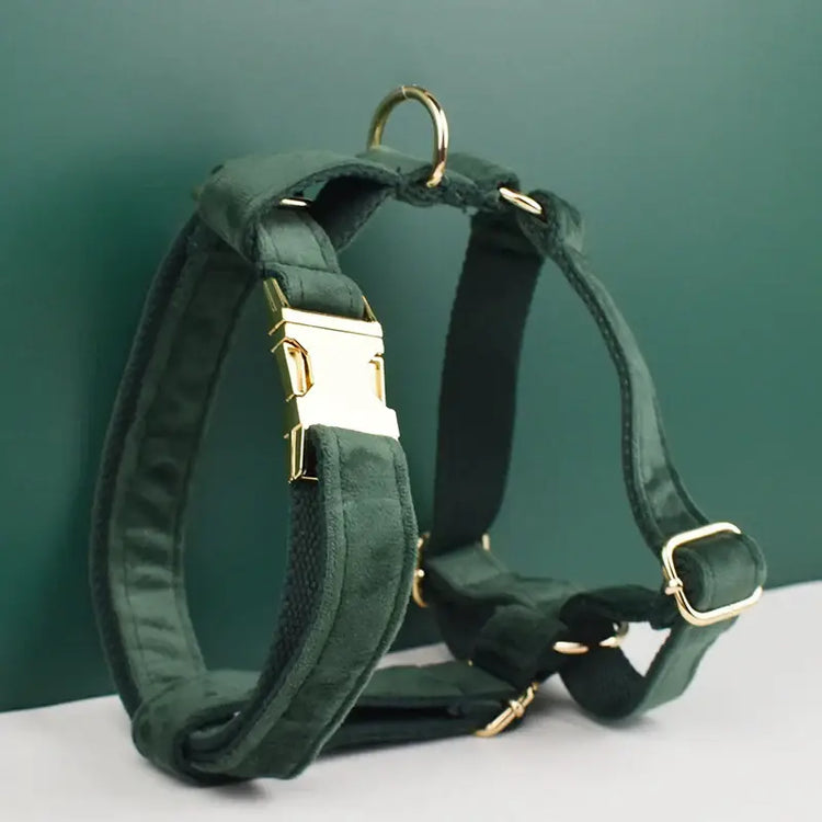 Collier pour chien en velours personnalisé