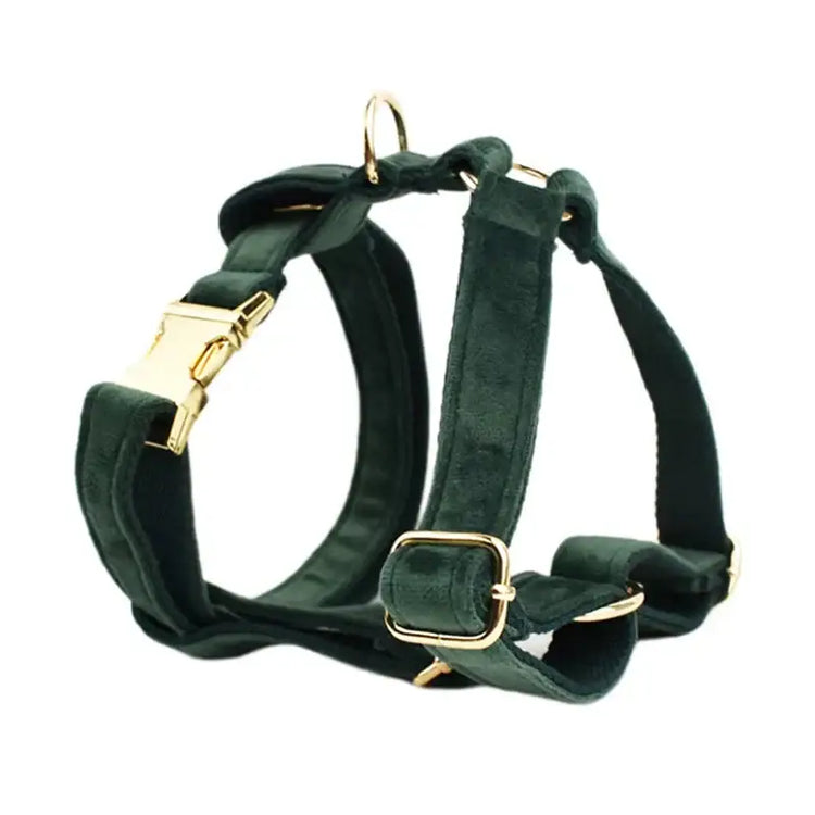 Collier pour chien en velours personnalisé - Harness / XS（old）