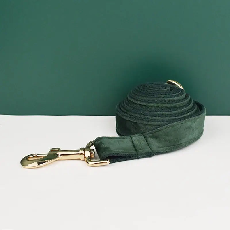 Collier pour chien en velours personnalisé