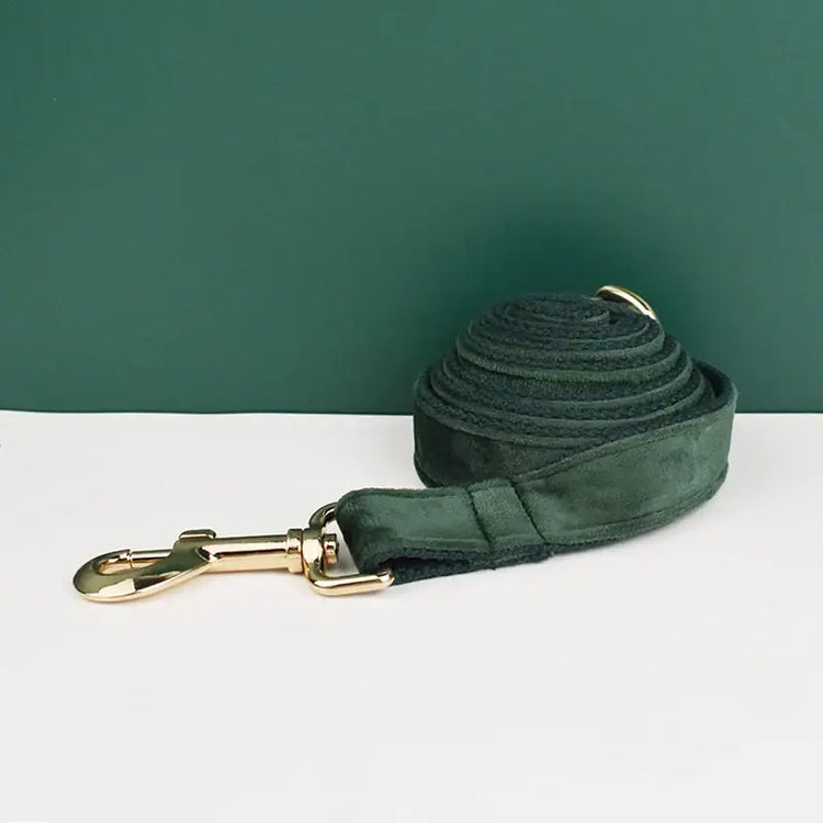 Collier pour chien en velours personnalisé