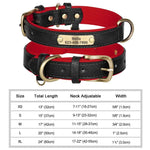 Collier pour chien gravé sur mesure - Black / XL
