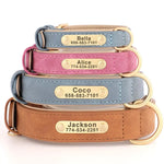 Collier pour chien gravé sur mesure