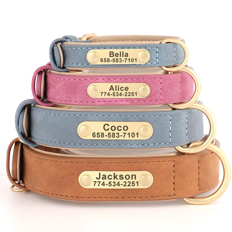 Collier pour chien gravé sur mesure