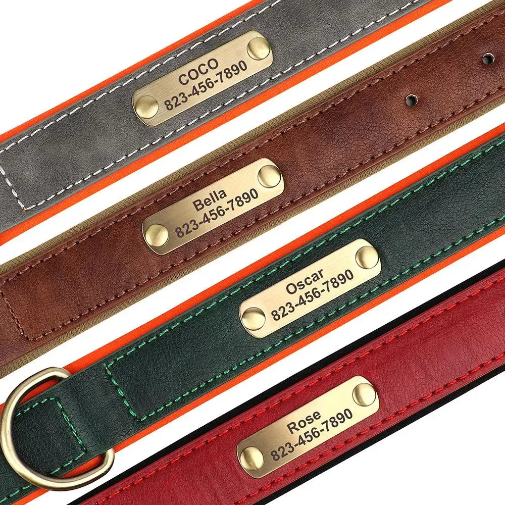 Collier pour chien gravé sur mesure