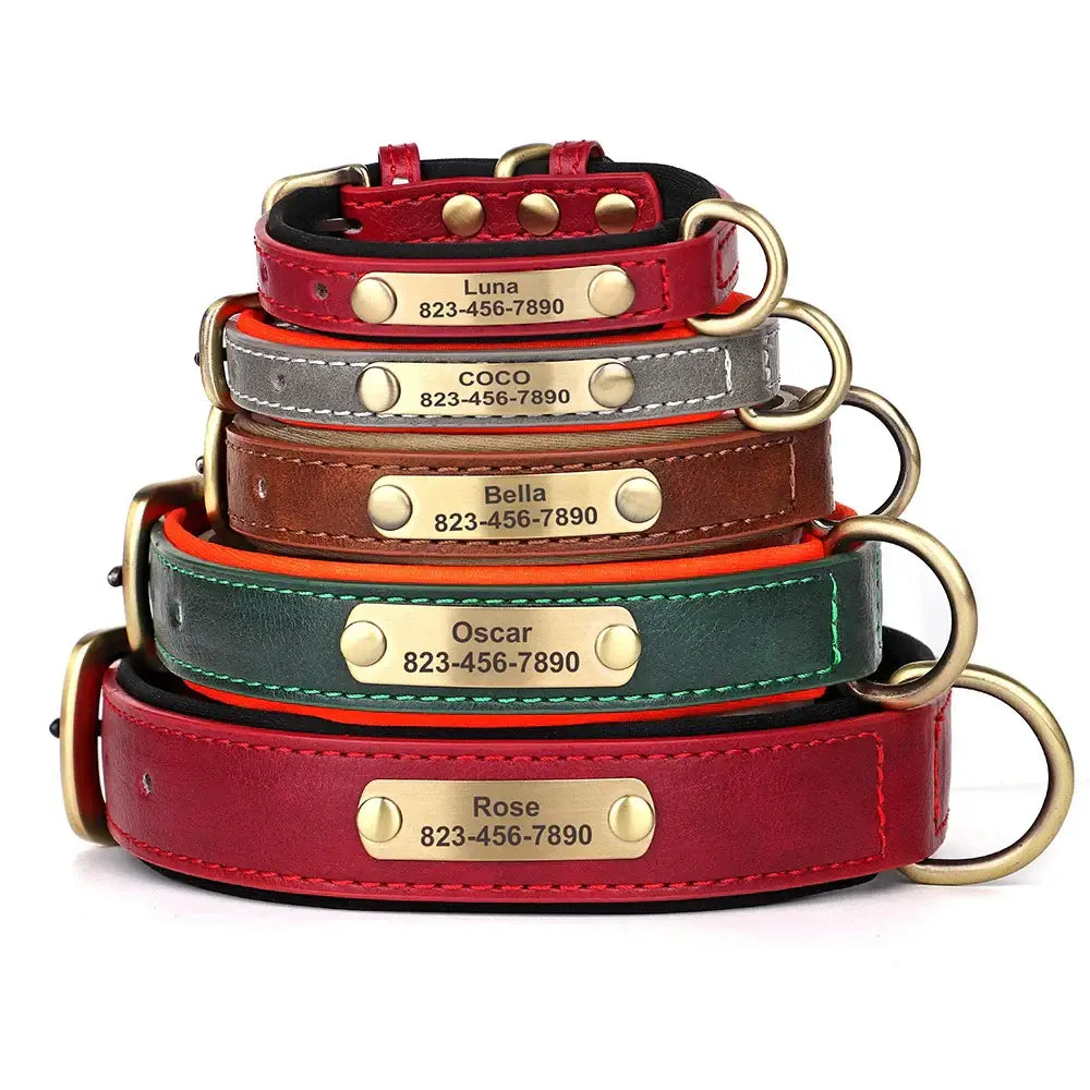 Collier pour chien gravé sur mesure