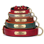 Collier pour chien gravé sur mesure