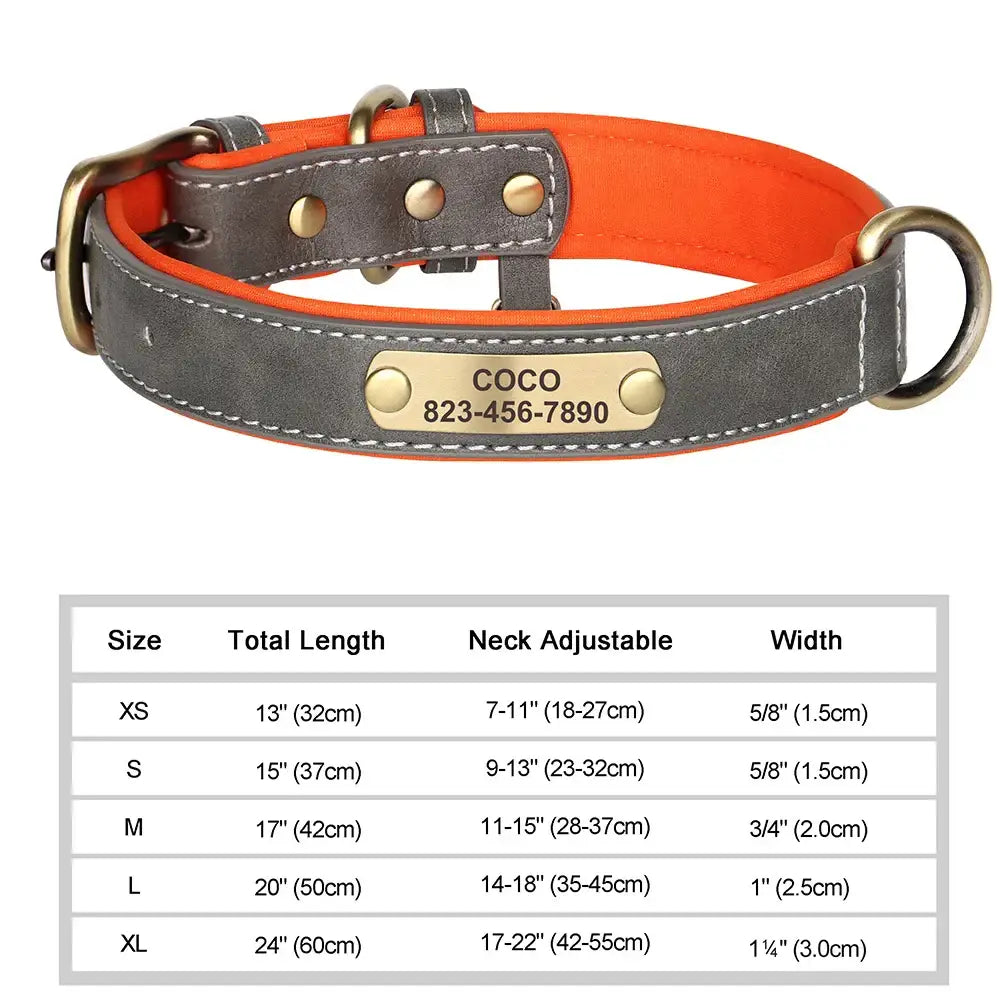 Collier pour chien gravé sur mesure - Gray / XL