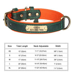 Collier pour chien gravé sur mesure - Green / M