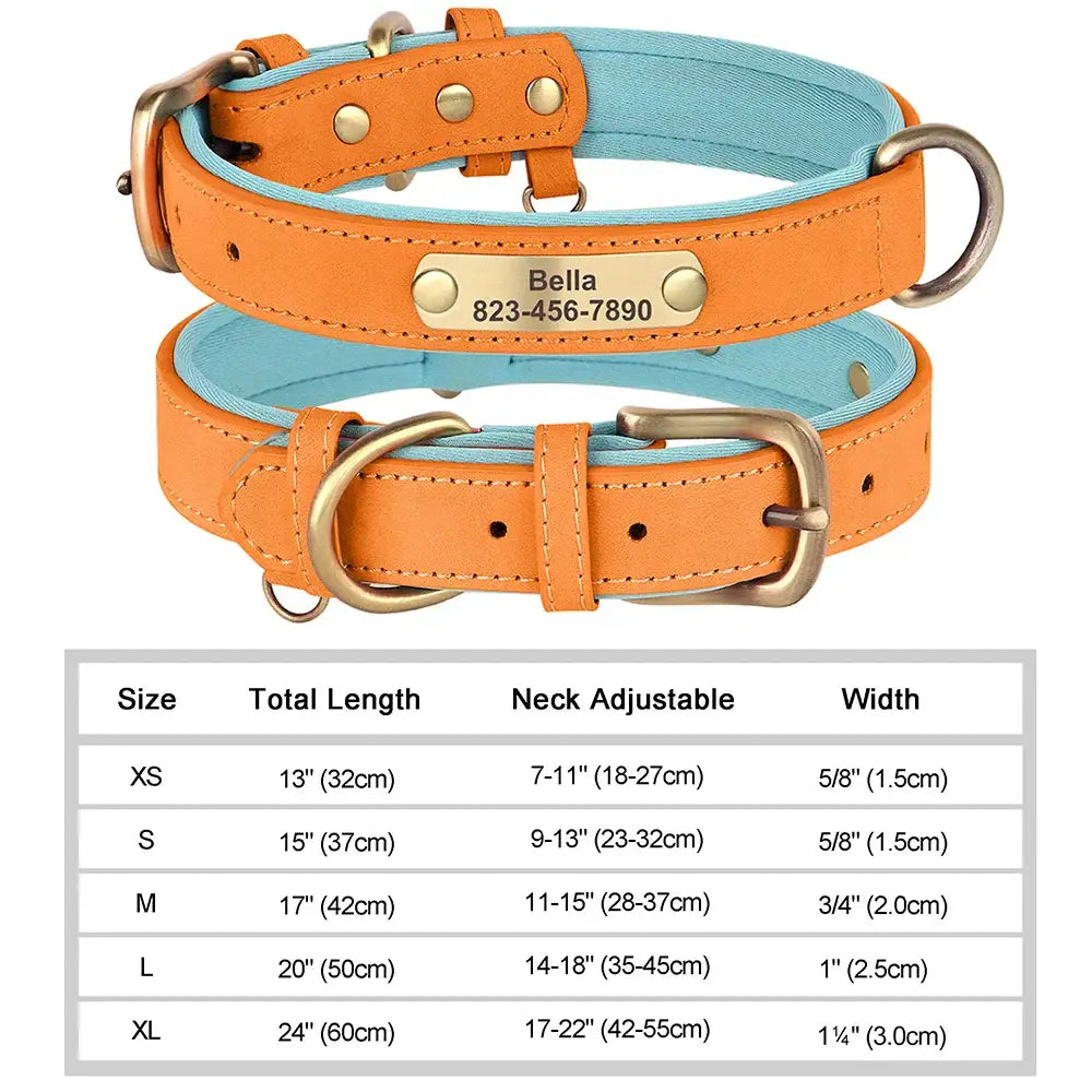 Collier pour chien gravé sur mesure - Orange / L