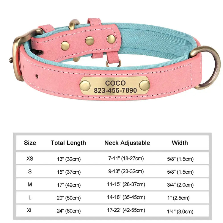 Collier pour chien gravé sur mesure - Pink / L