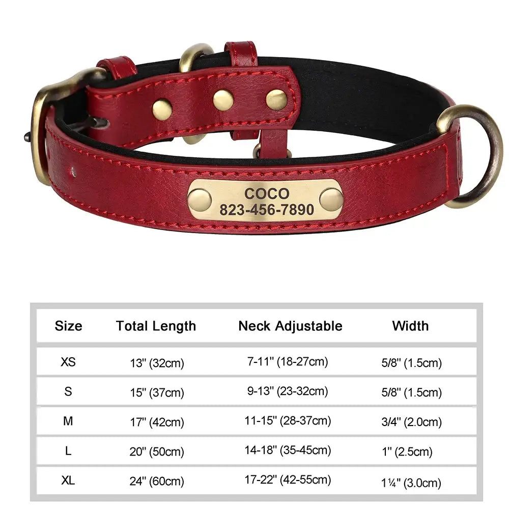 Collier pour chien gravé sur mesure - Red / L