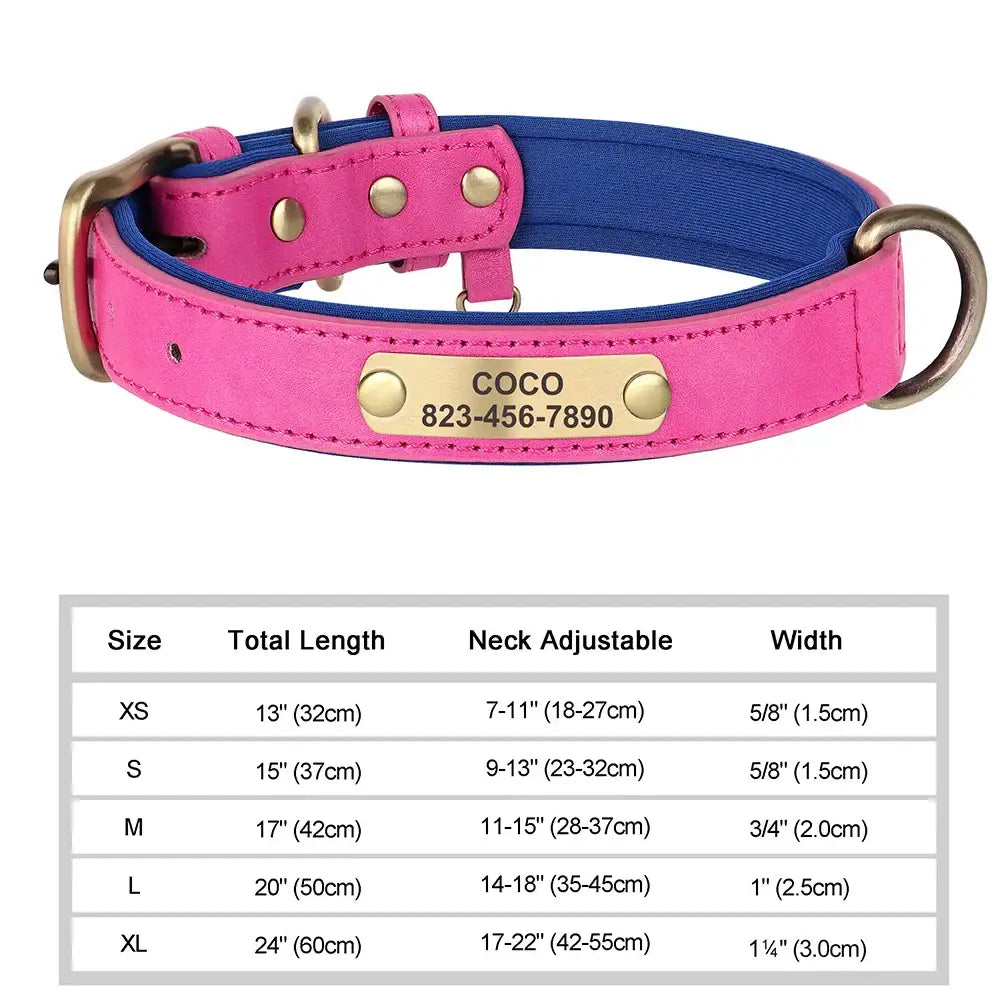 Collier pour chien gravé sur mesure - Rose / XS（old）