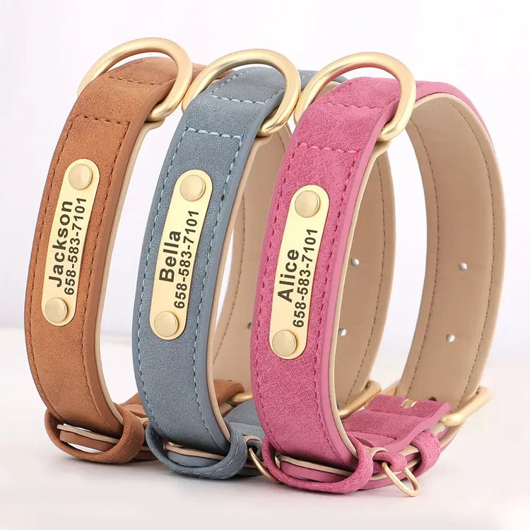 Collier pour chien gravé sur mesure