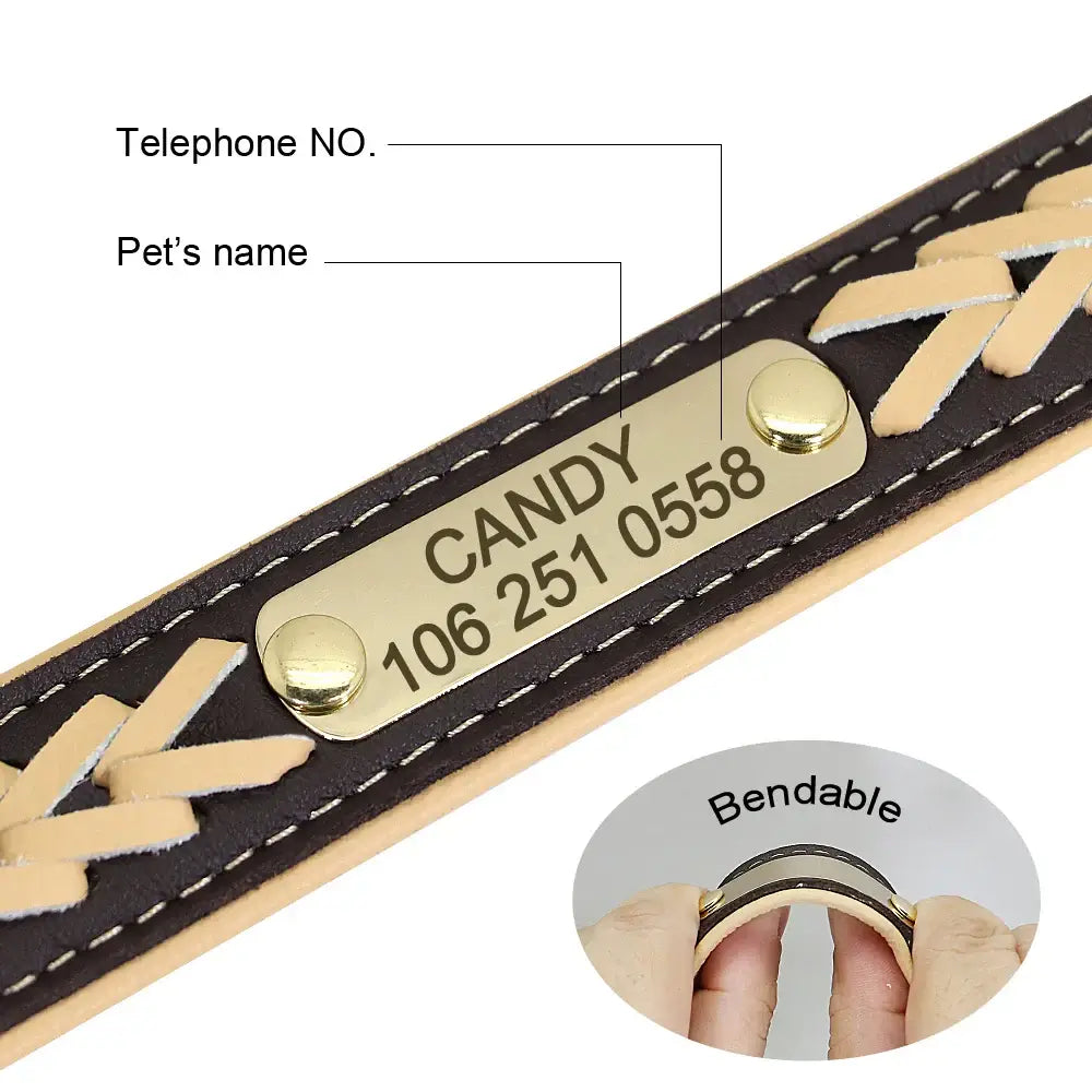 Collier pour chien personnalisé
