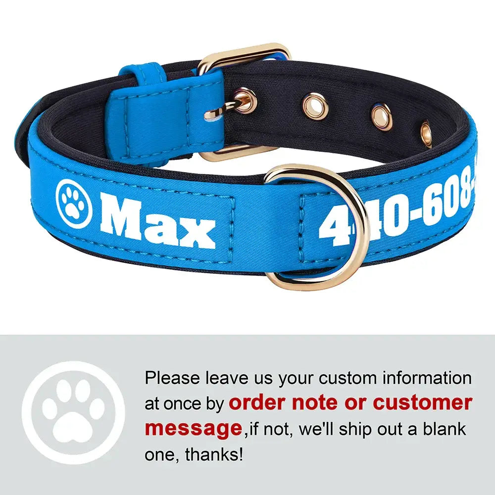 Collier pour chien personnalisé - Blue-Paw / L 33-43cm