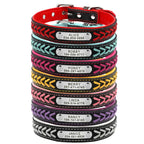 Collier pour chien personnalisé