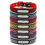 Collier pour chien personnalisé