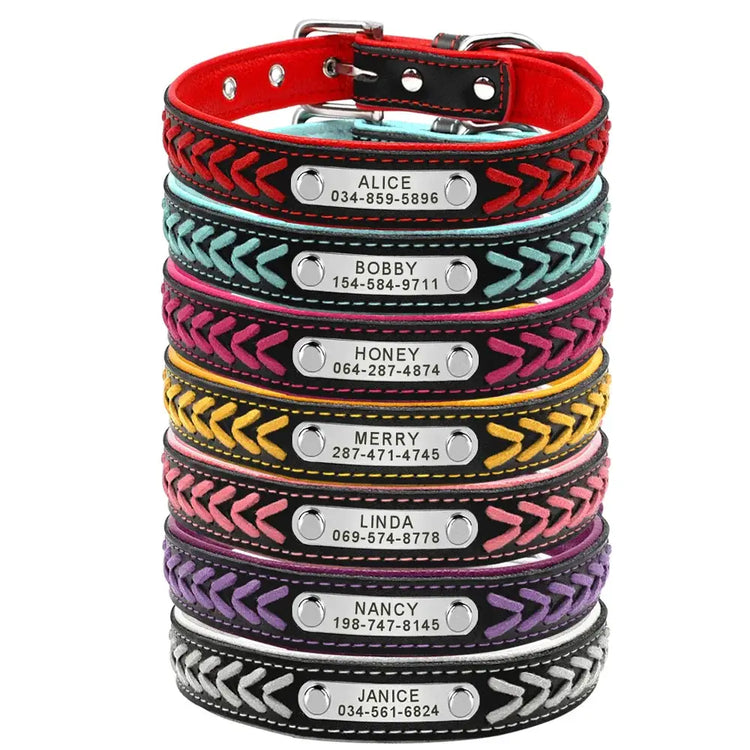 Collier pour chien personnalisé