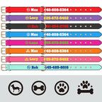 Collier pour chien personnalisé