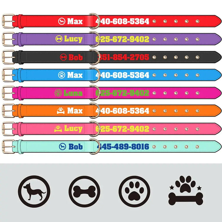 Collier pour chien personnalisé