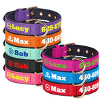 Collier pour chien personnalisé