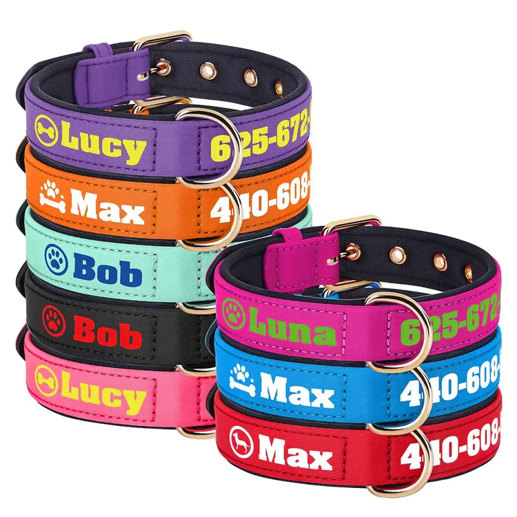 Collier pour chien personnalisé