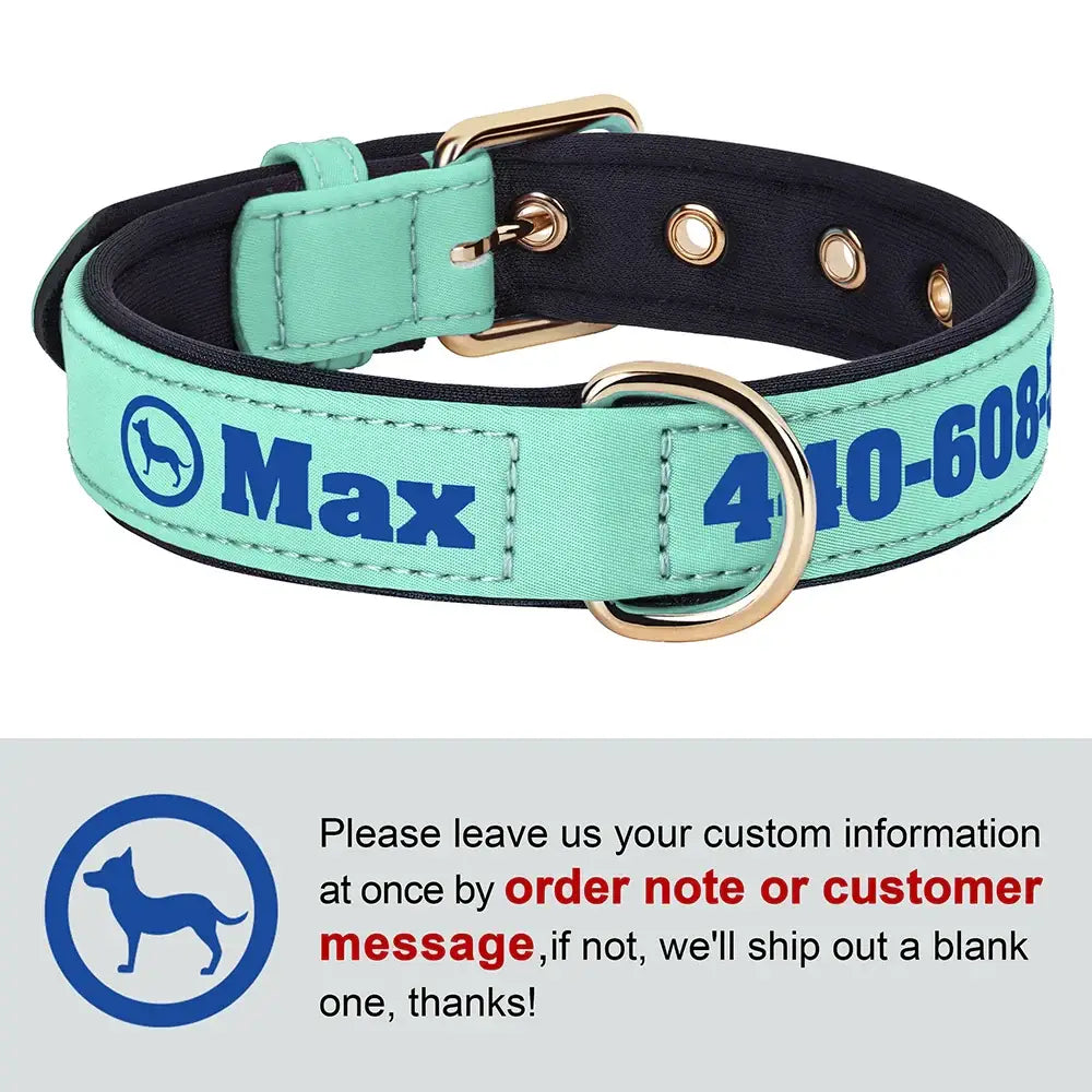 Collier pour chien personnalisé - Green-Dog / M 28-38cm