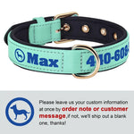 Collier pour chien personnalisé - Green-Dog / M 28-38cm