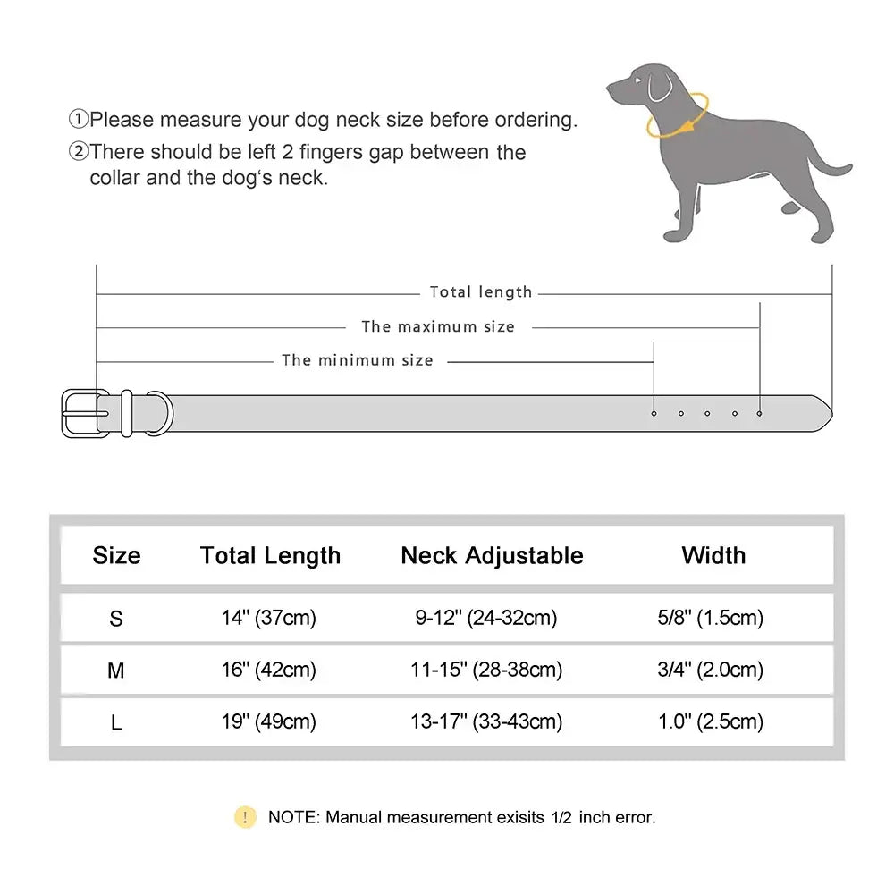 Collier pour chien personnalisé