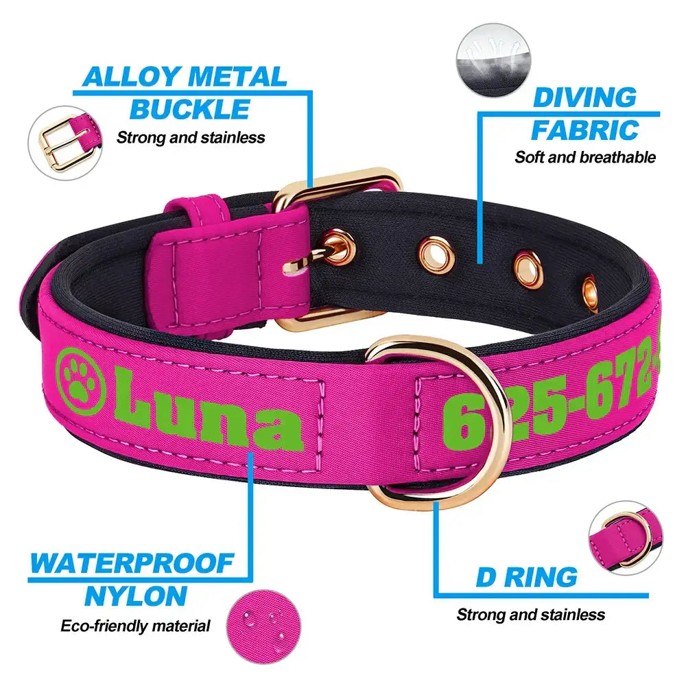 Collier pour chien personnalisé