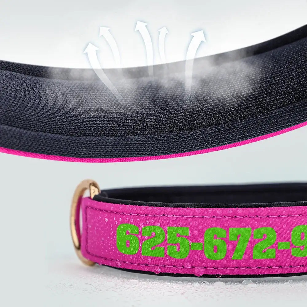Collier pour chien personnalisé