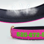 Collier pour chien personnalisé