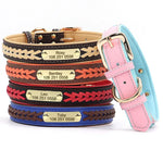 Collier pour chien personnalisé