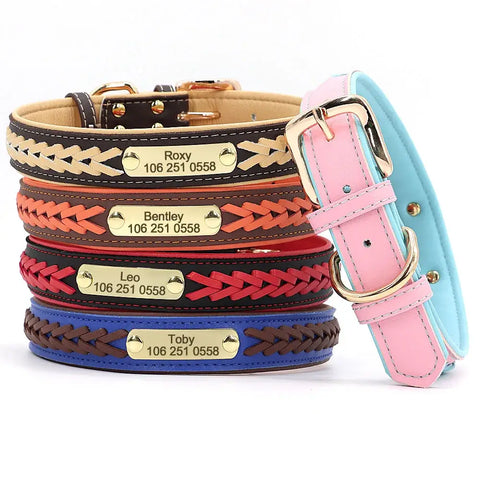 Collier pour chien personnalisé