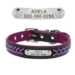 Collier pour chien personnalisé - PURPLE / XS