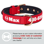 Collier pour chien personnalisé - Red-Bone / L 33-43cm