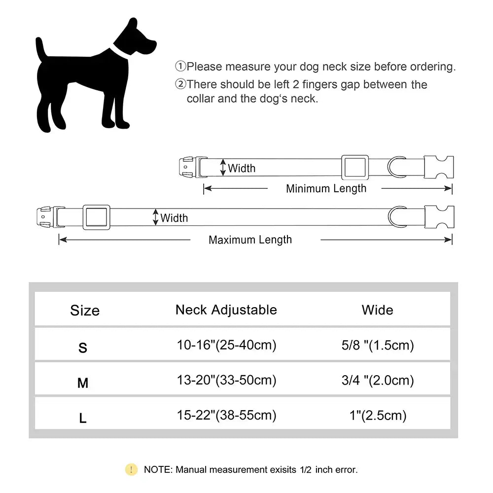 Collier pour chien personnalisé