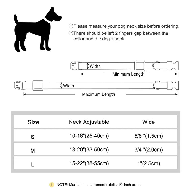 Collier pour chien personnalisé