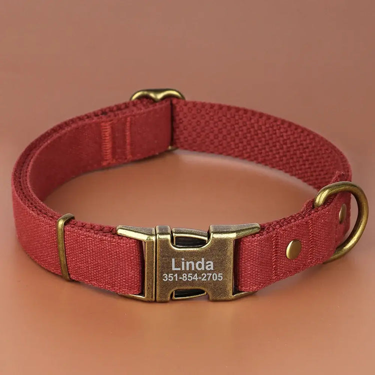 Collier pour chien personnalisé