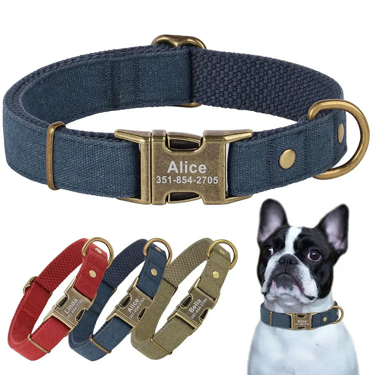 Collier pour chien personnalisé