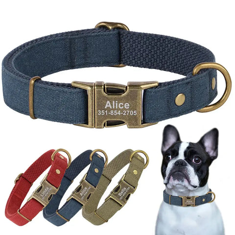Collier pour chien personnalisé