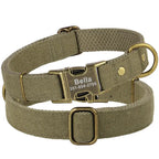 Collier pour chien personnalisé