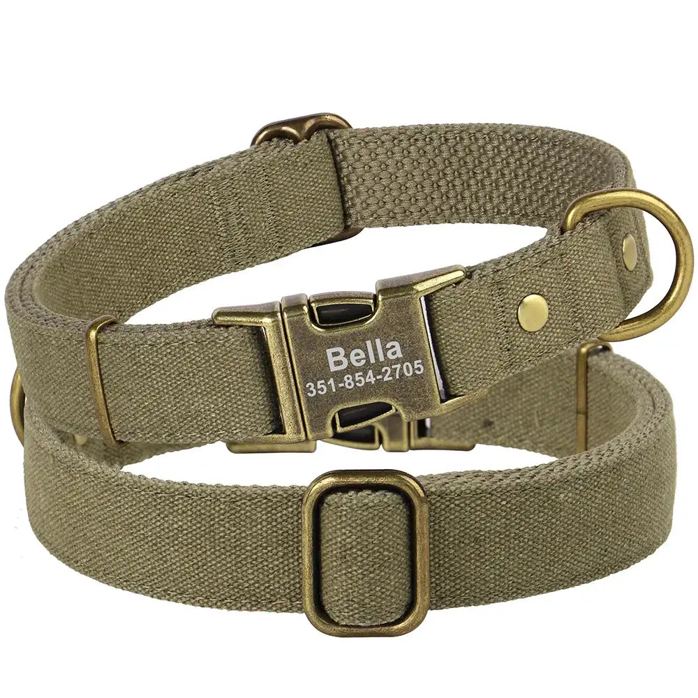 Collier pour chien personnalisé