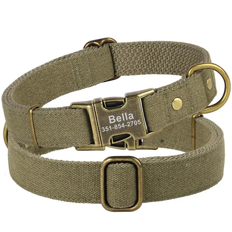 Collier pour chien personnalisé