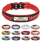 Collier pour chien personnalisé